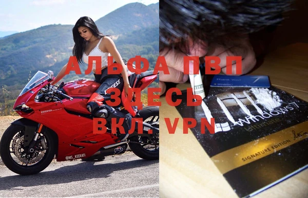 сатива Алексеевка