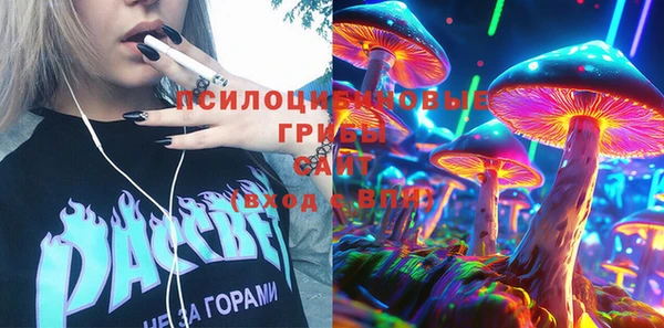 сатива Алексеевка