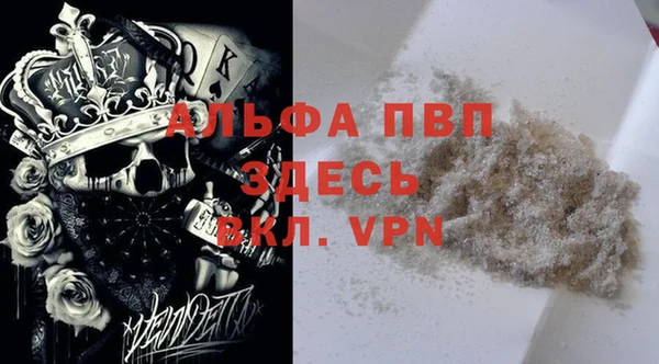 сатива Алексеевка