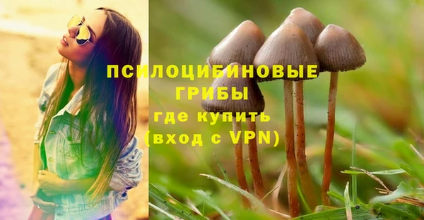 сатива Алексеевка