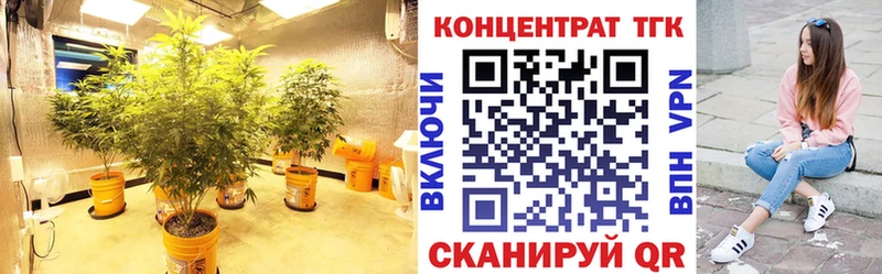 Дистиллят ТГК THC oil  где найти наркотики  Усть-Кут 