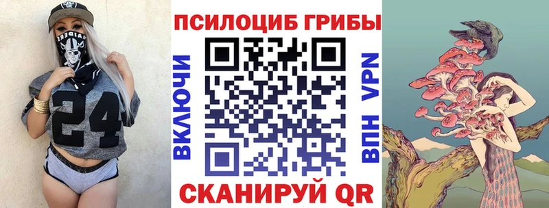 где можно купить   Усть-Кут  Галлюциногенные грибы MAGIC MUSHROOMS 